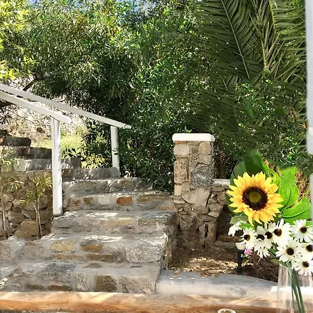 ميغاز روومز شقة